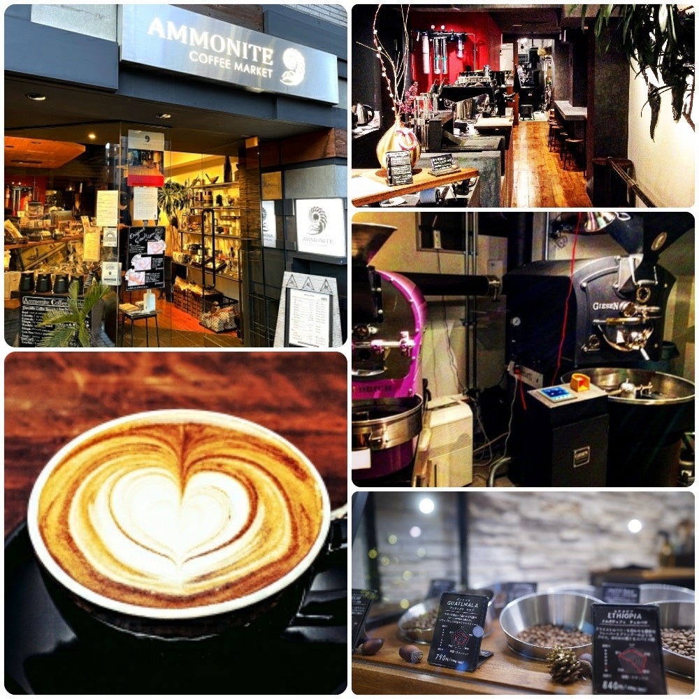 AMMONITE COFFEE MARKET