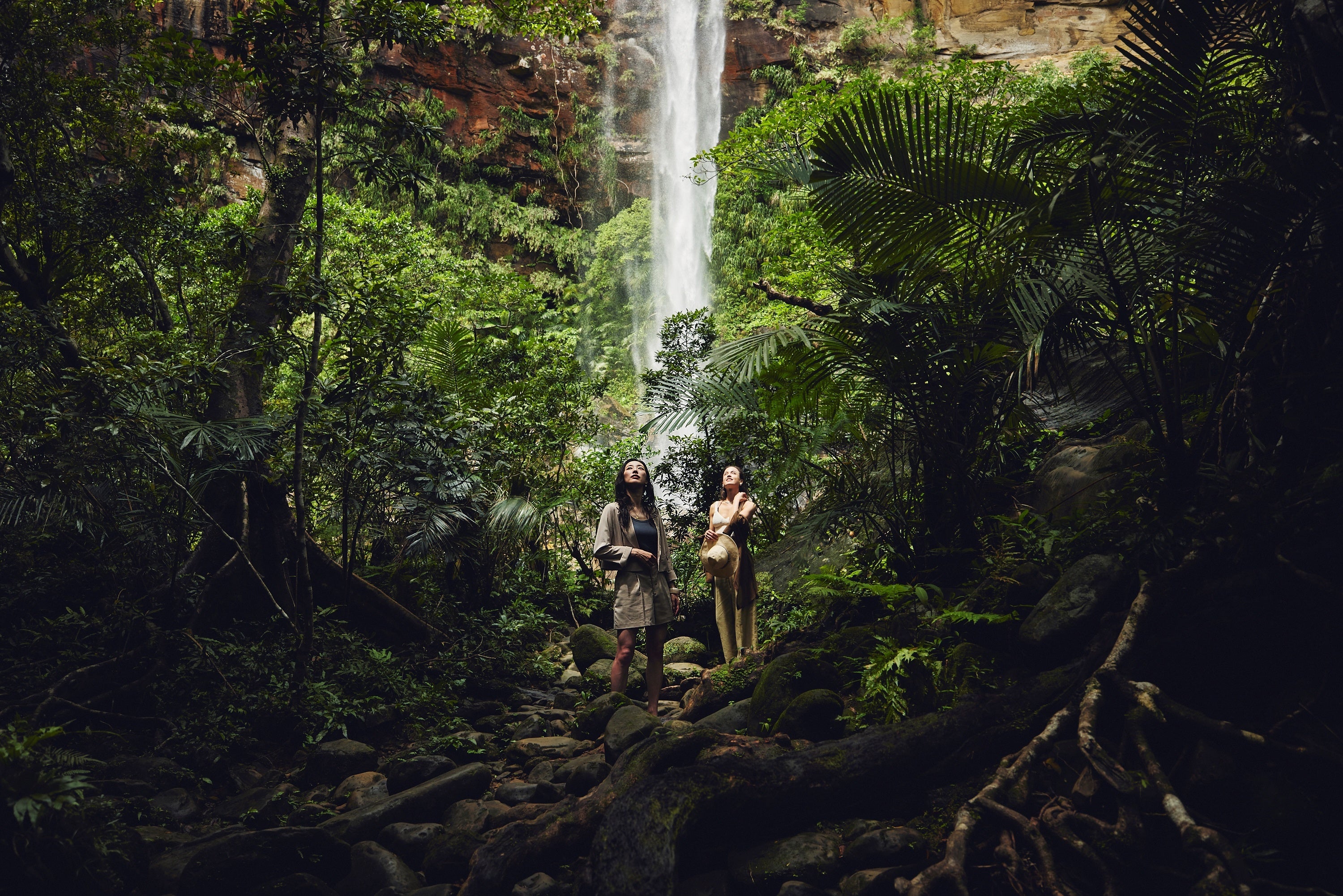 世界自然遺産にも選ばれた西表島では「ピナイサーラの滝」を訪問