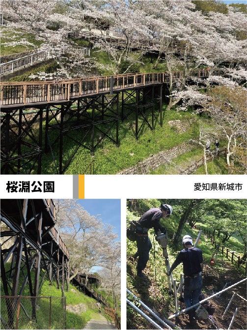 桜淵公園（愛知県新城市）