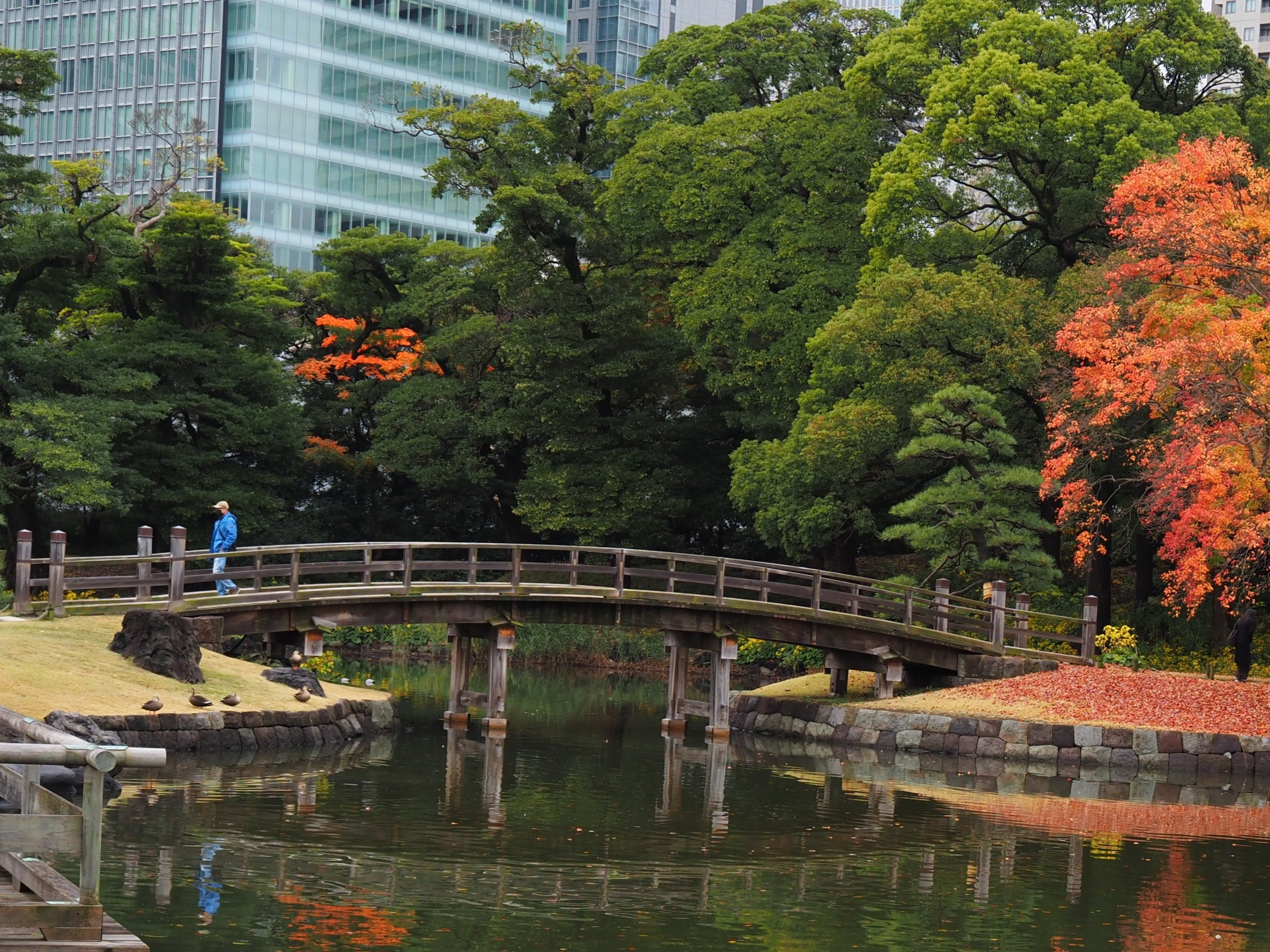 【実績紹介】浜離宮恩賜庭園中島橋（東京都）