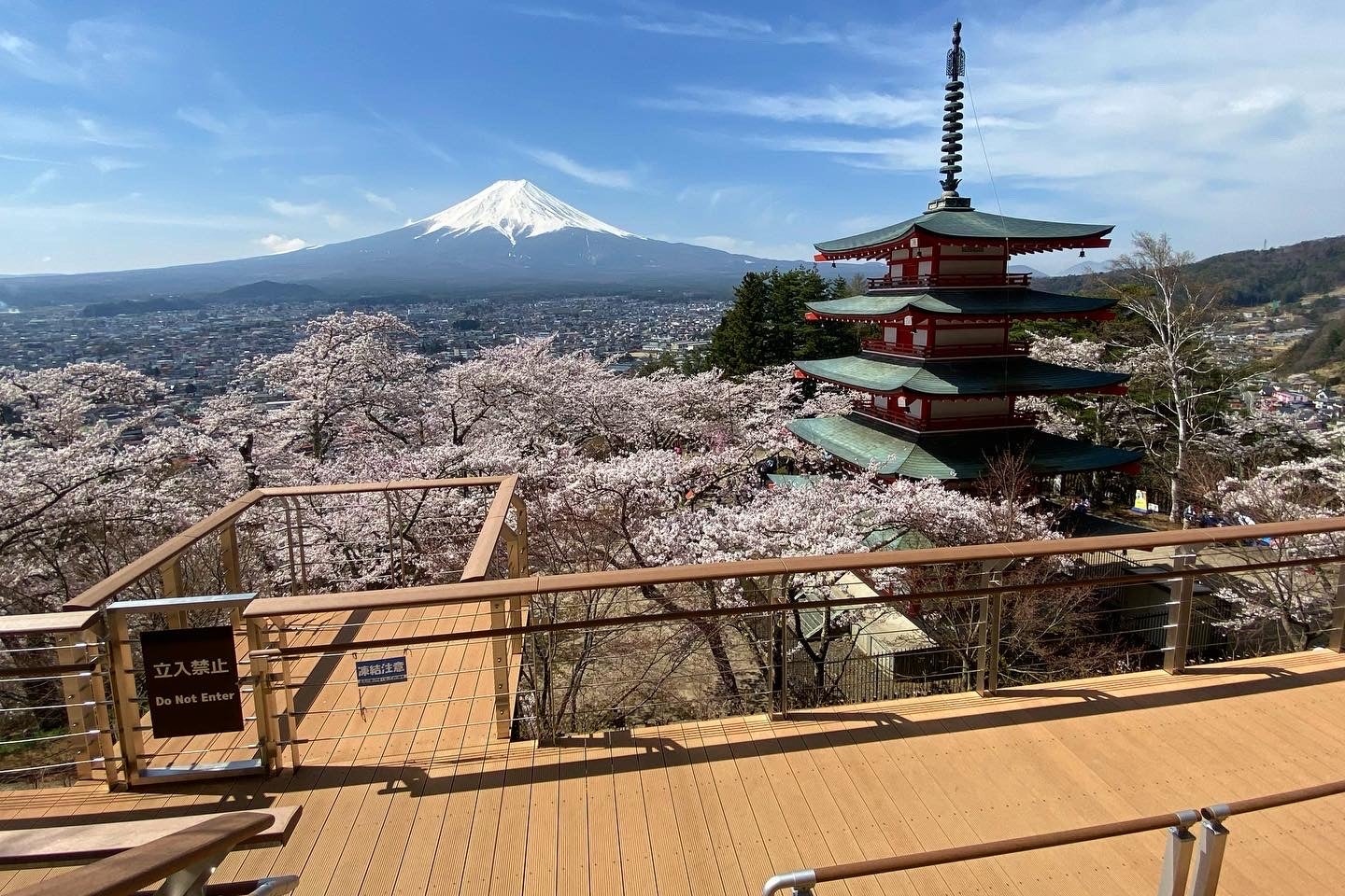 【実績紹介】新倉山浅間公園（山梨県）
