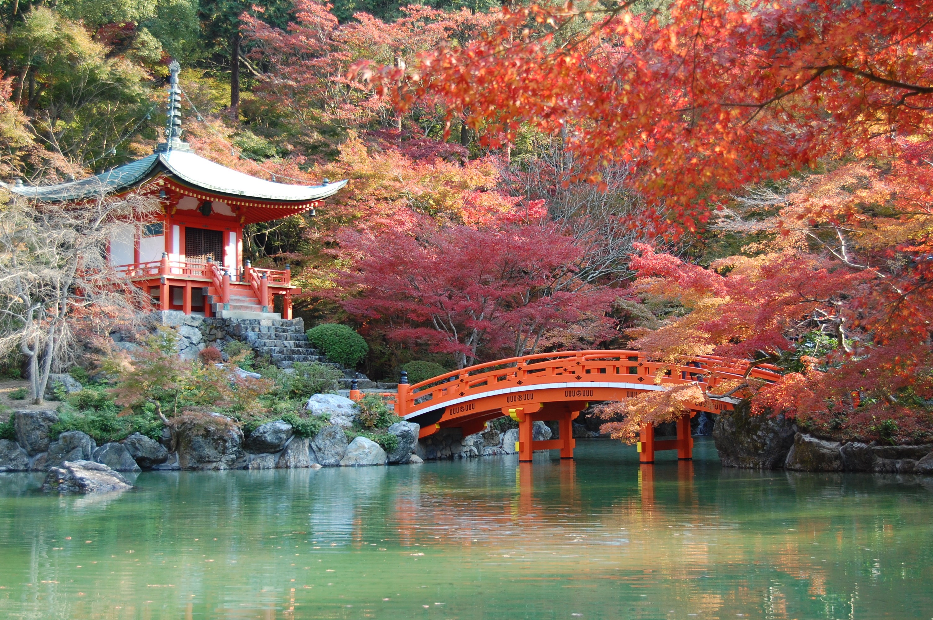 【実績紹介】京都醍醐寺（京都府）