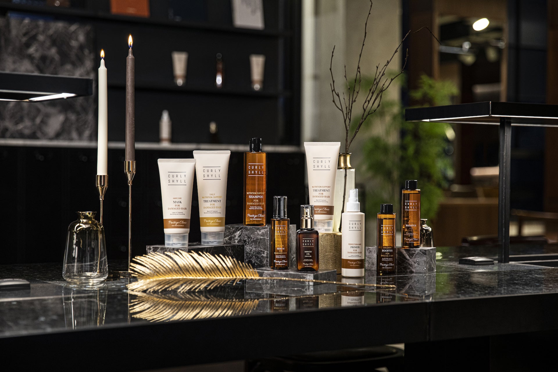 カーリーシールメイン