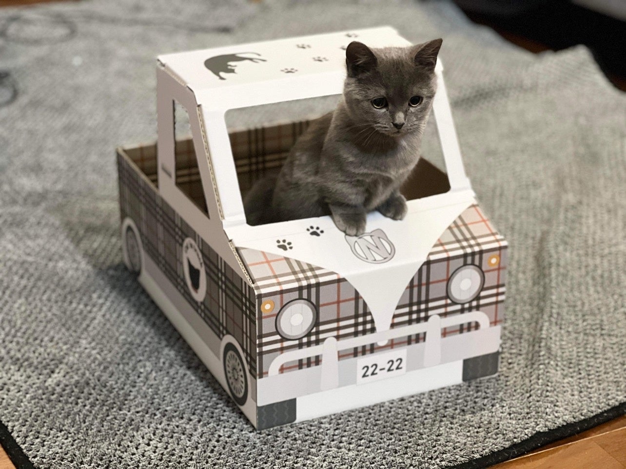 猫トラック 発売 ダンボール通販 株式会社アースダンボールのプレスリリース 猫トラック 発売 ダンボール通販 株式会社アースダンボールのプレスリリース