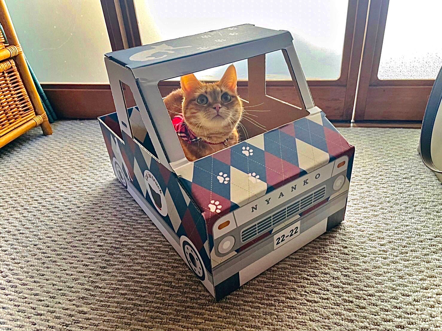 本杉琉　ダンボールアート　猫　２個セット 本杉琉ダンボールアート猫2個セット