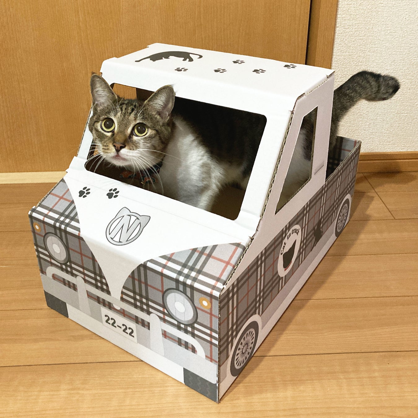 猫トラック 発売 ダンボール通販 株式会社アースダンボールのプレスリリース 猫トラック 発売 ダンボール通販 株式会社アースダンボールのプレスリリース