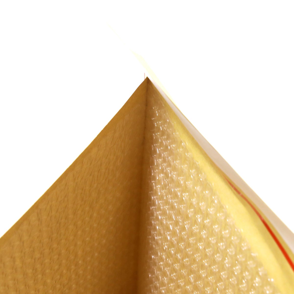 クッション封筒の中