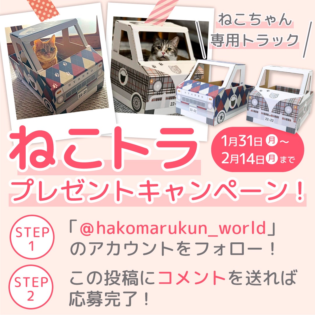 ねこトラ プレゼントキャンペーン ダンボール通販 株式会社アースダンボールのプレスリリース ねこトラ プレゼントキャンペーン ダンボール通販 株式会社アースダンボールのプレスリリース