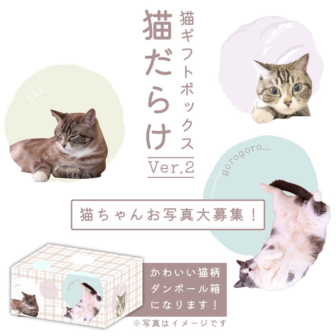 猫ギフトボックス 猫だらけ Ver 2 販売決定 アースダンボール 株式会社アースダンボールのプレスリリース 猫ギフトボックス 猫だらけ Ver 2 販売決定 アースダンボール 株式会社アースダンボールのプレスリリース