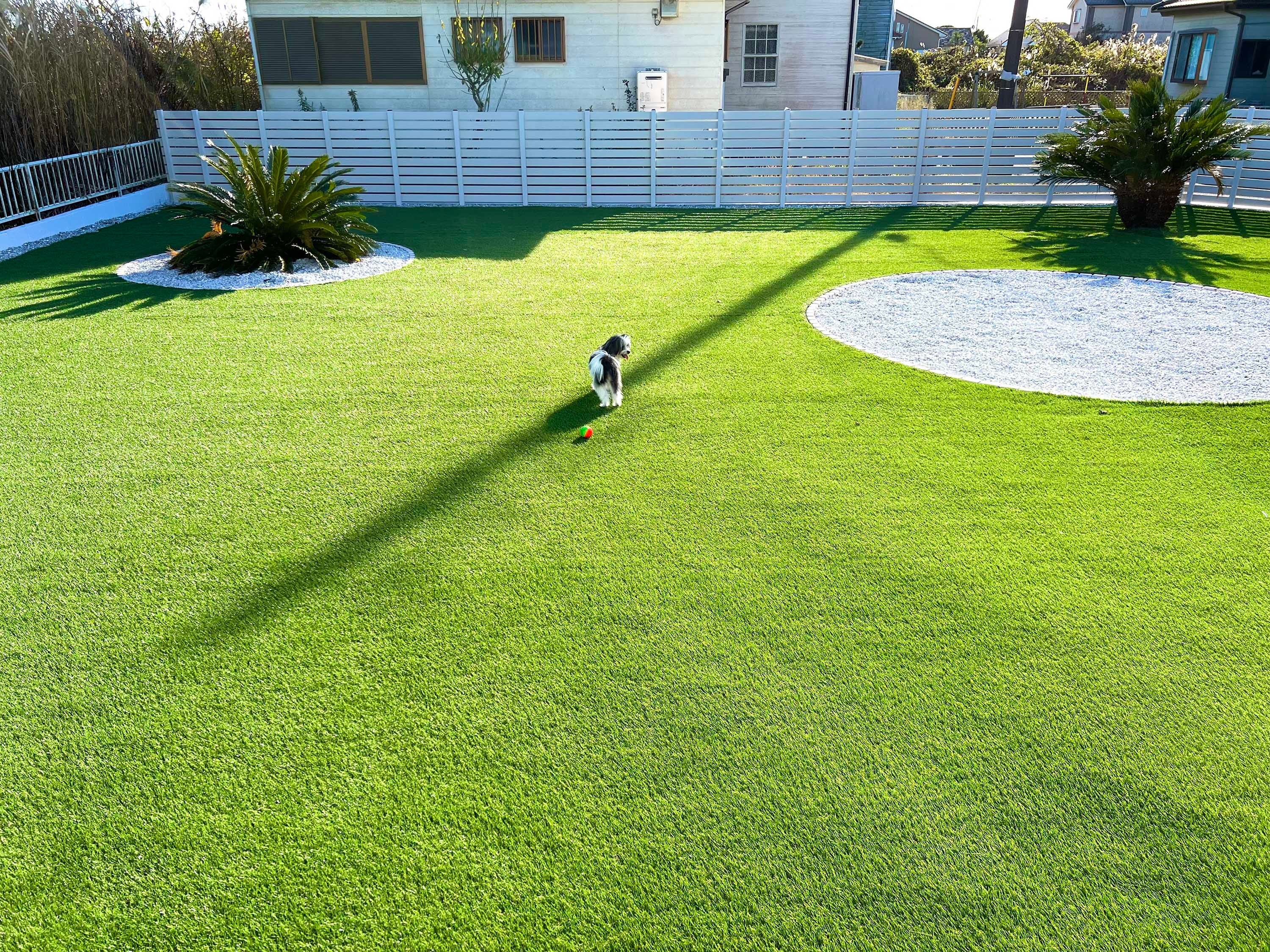 広いドッグラン