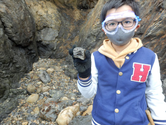 化石採集体験会