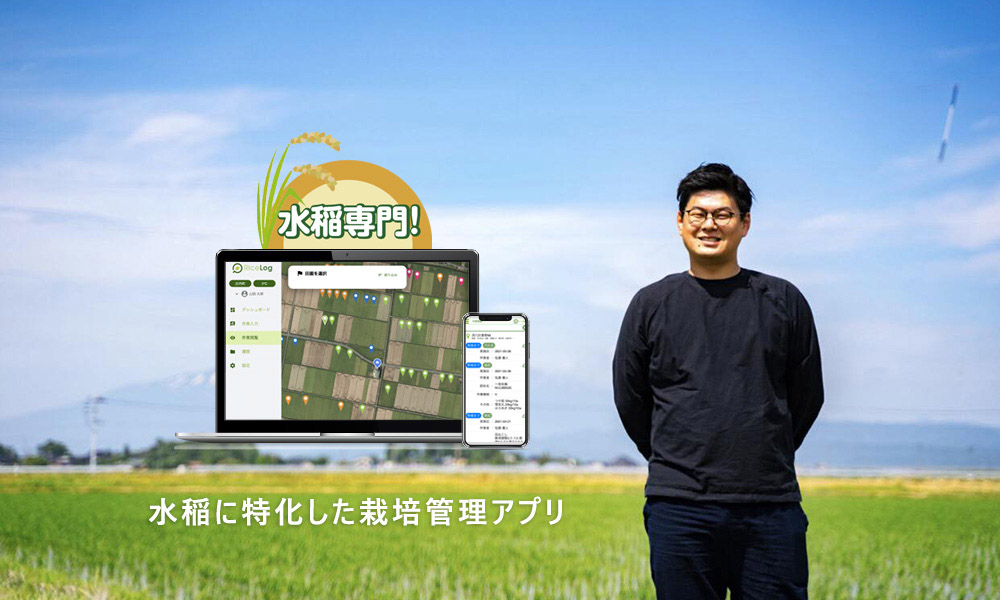 イラストみんなの農業教室 4 水稲の増収技術 送料無料 イラストみんなの農業教室 4 水稲の増収技術 送料無料 イラスト