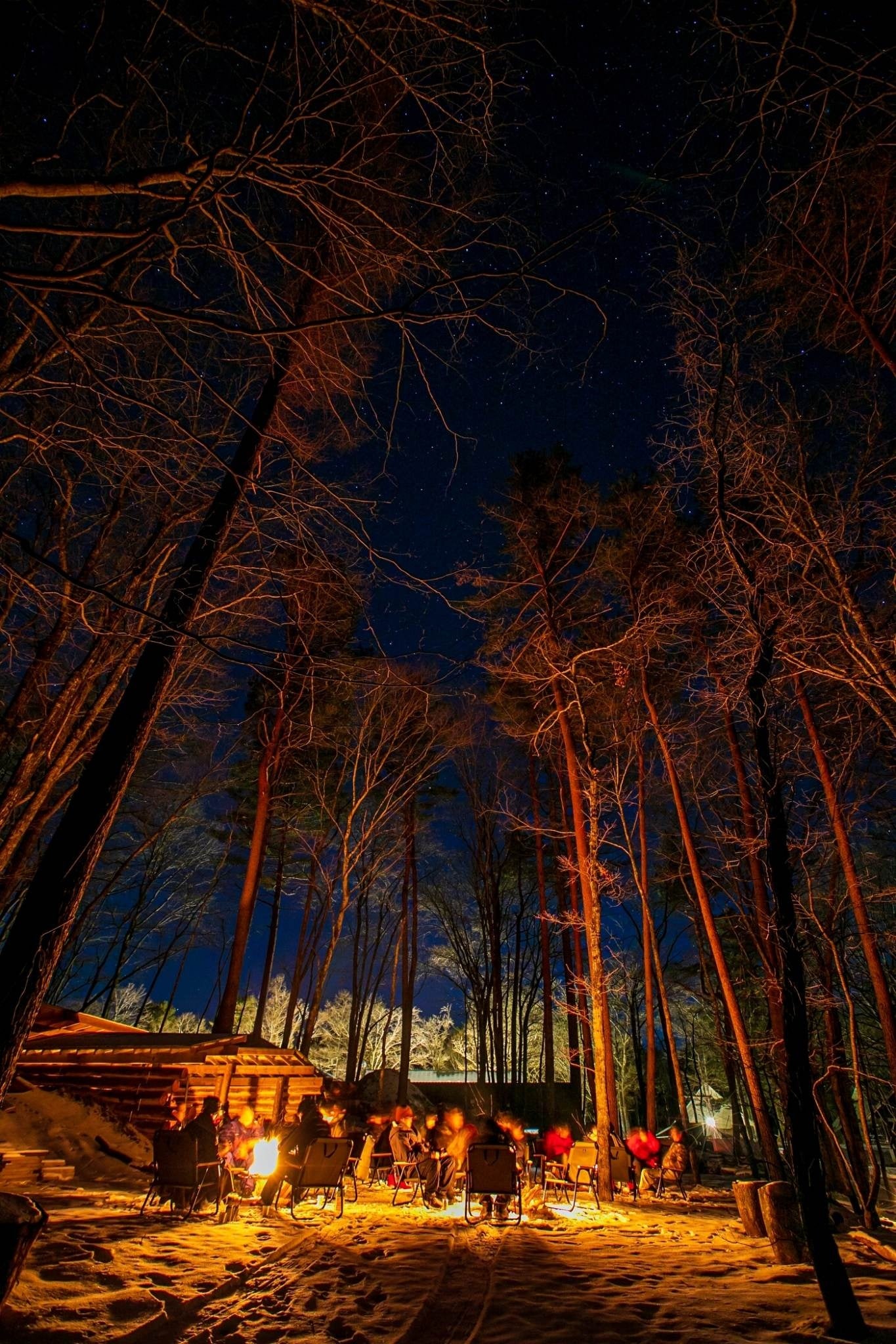 ライジング・フィールドで焚き火を囲み、共に時間を過ごす様子