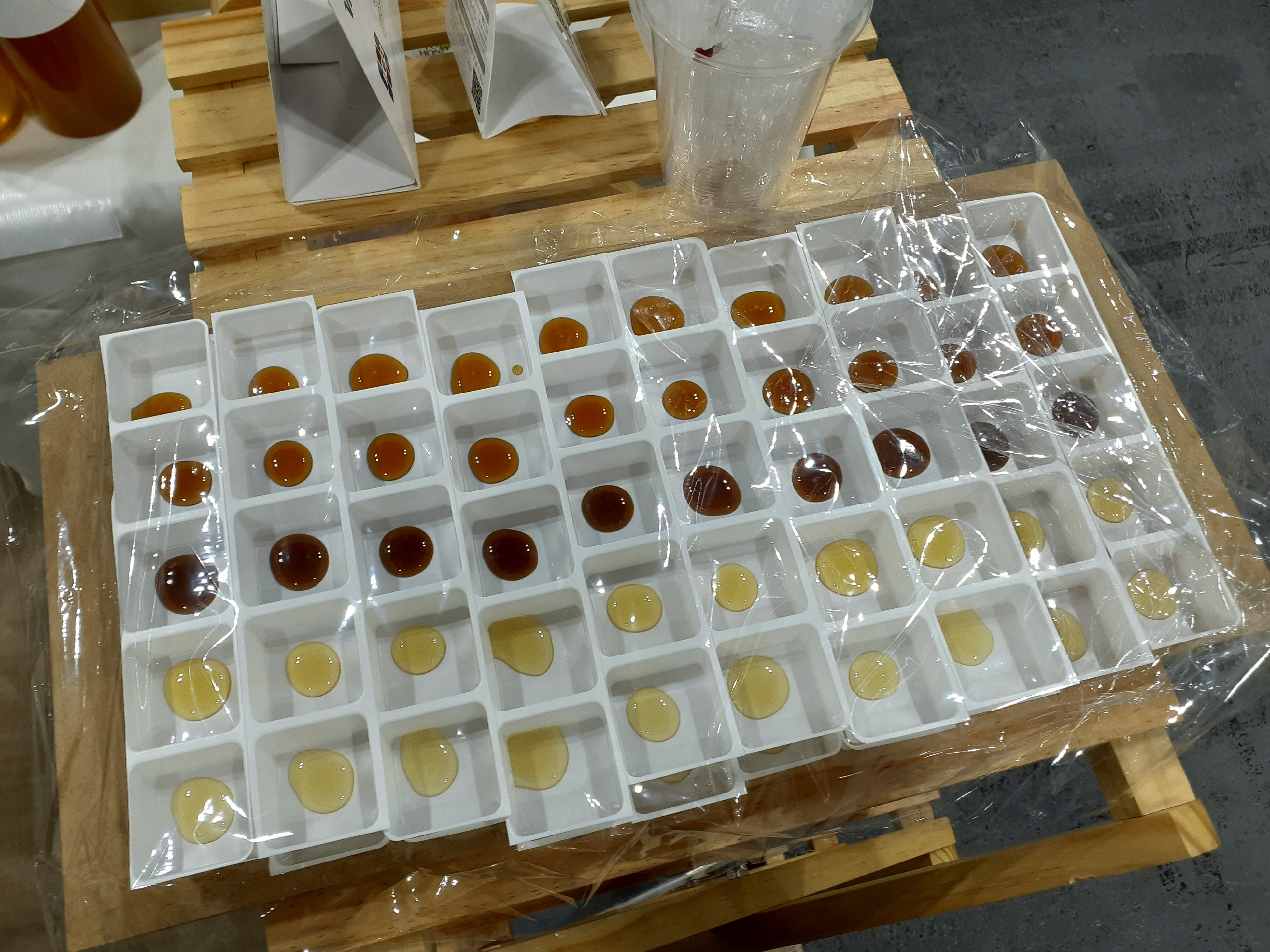 催事での試食の様子