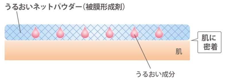 【モイスト】うるおいネットパウダー