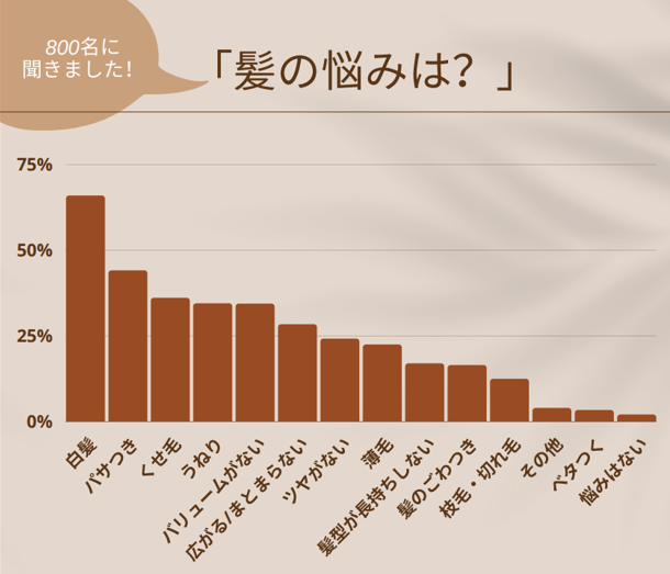 （株）ランクアップ調べ
