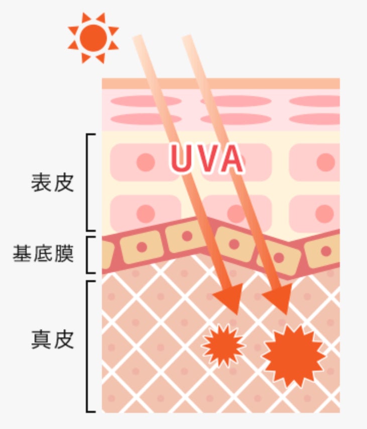 UVAの特徴