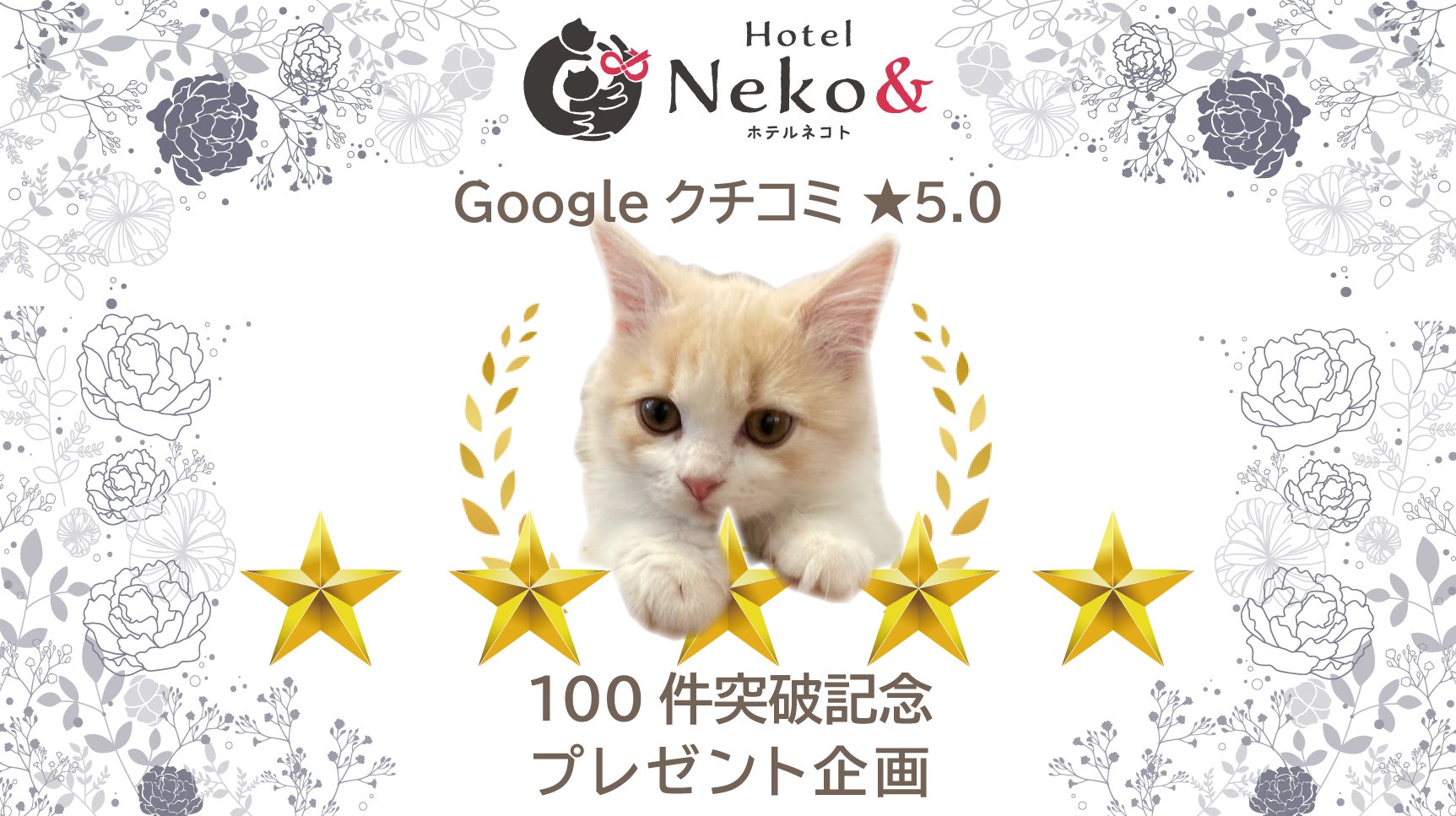 Hotel Neko&(ネコト)】Googleクチコミ評価☆5.0の100件突破を記念し