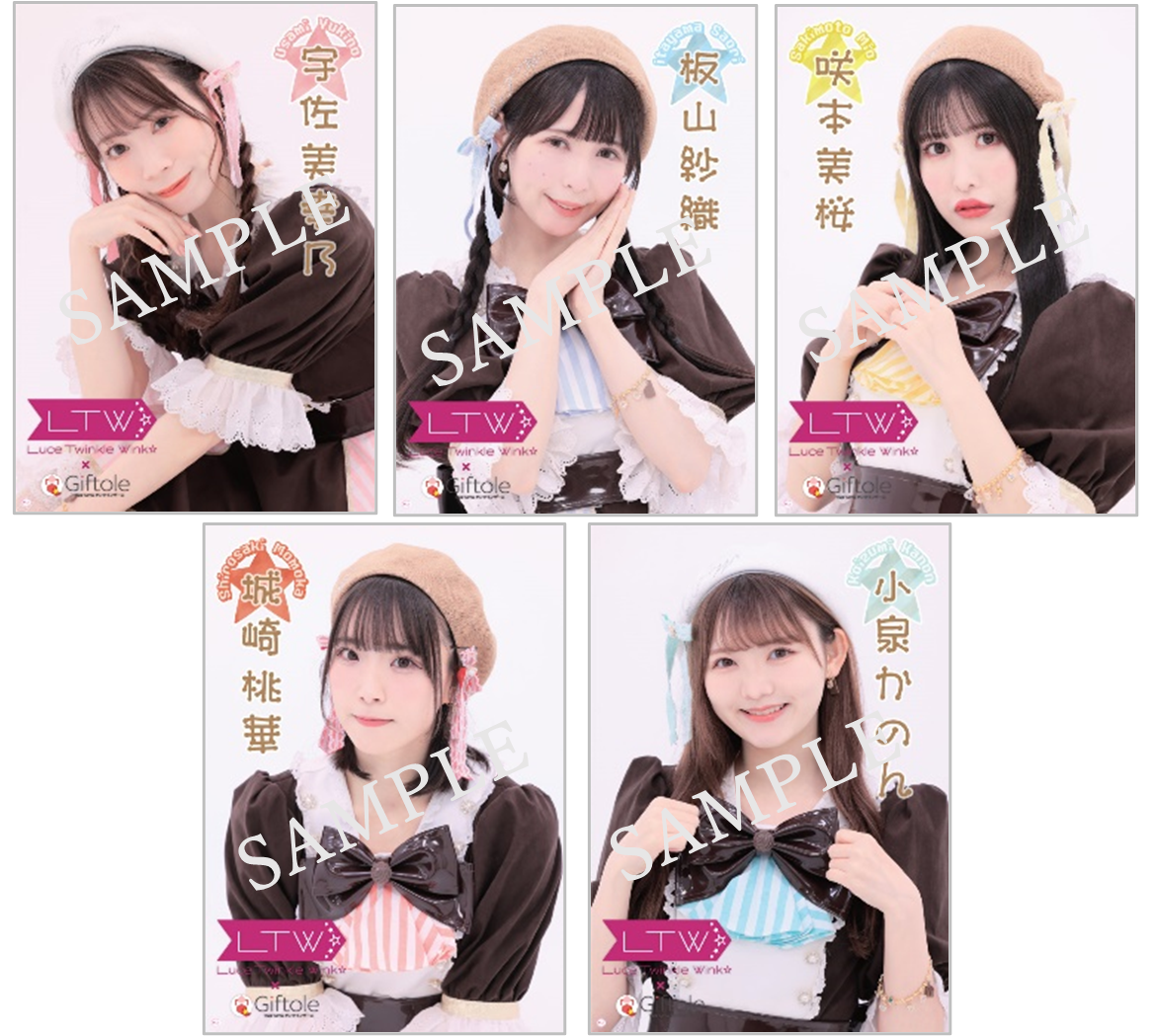 ※画像は作成中のイメージです。現物と異なる場合がございます。