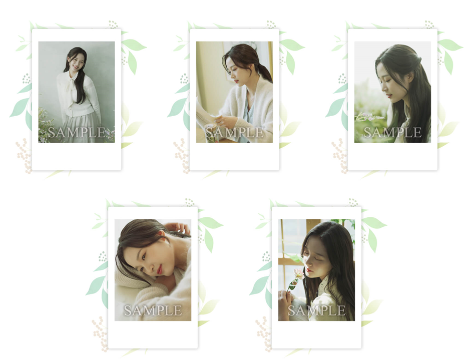 画像は制作中の為イメージです。