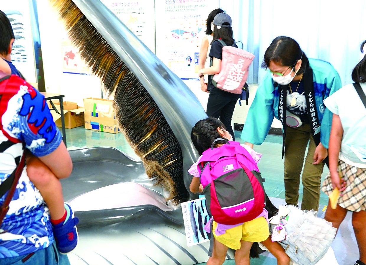 クジラを知ろう!は?ひげ?ほね?にく?:日本鯨類研究所