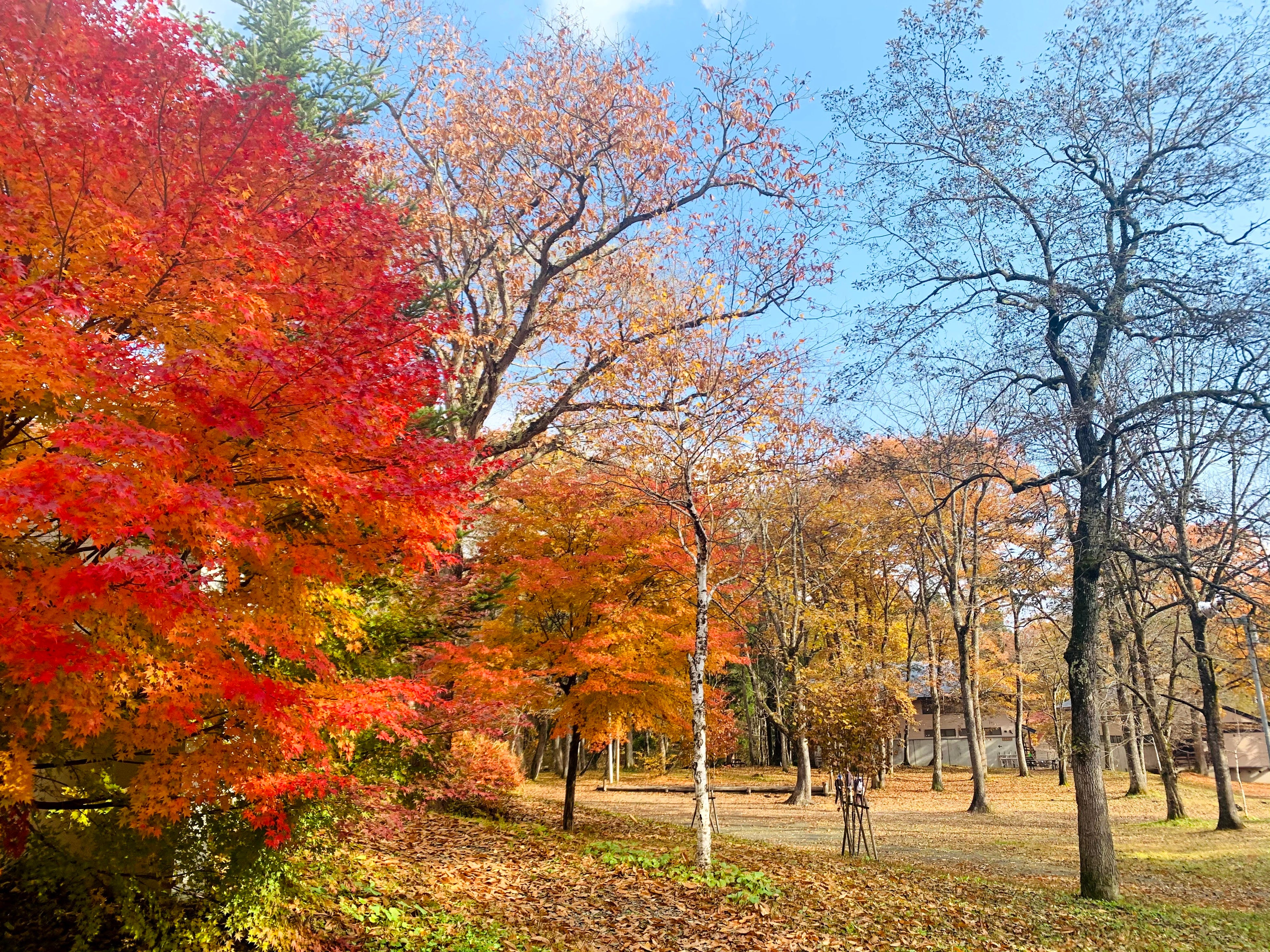 「RVパーク・ラボランドくろひめ」現地の様子
