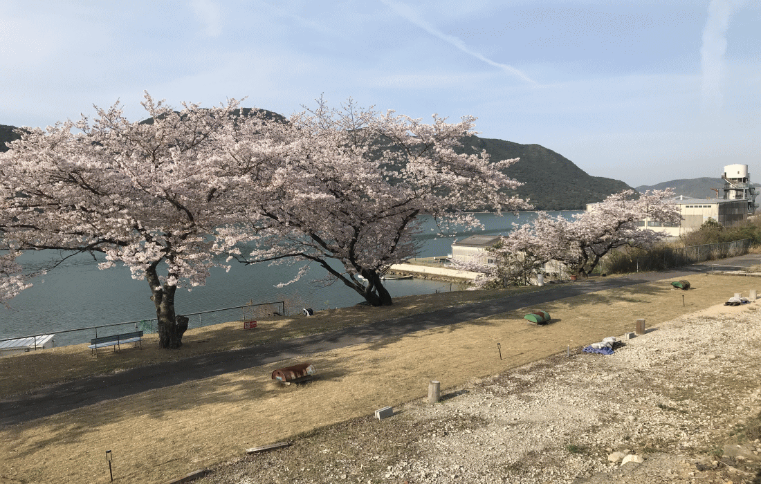 「RVパークライト COSTA HINASE RESORT」現地の様子