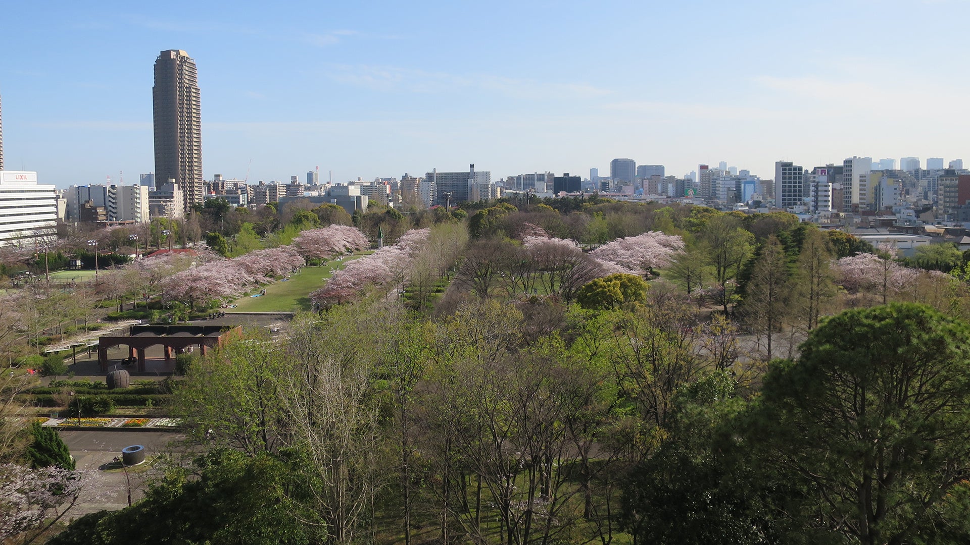 「プロロジスアーバン東京錦糸町1」から 猿江恩賜公園を眺められる