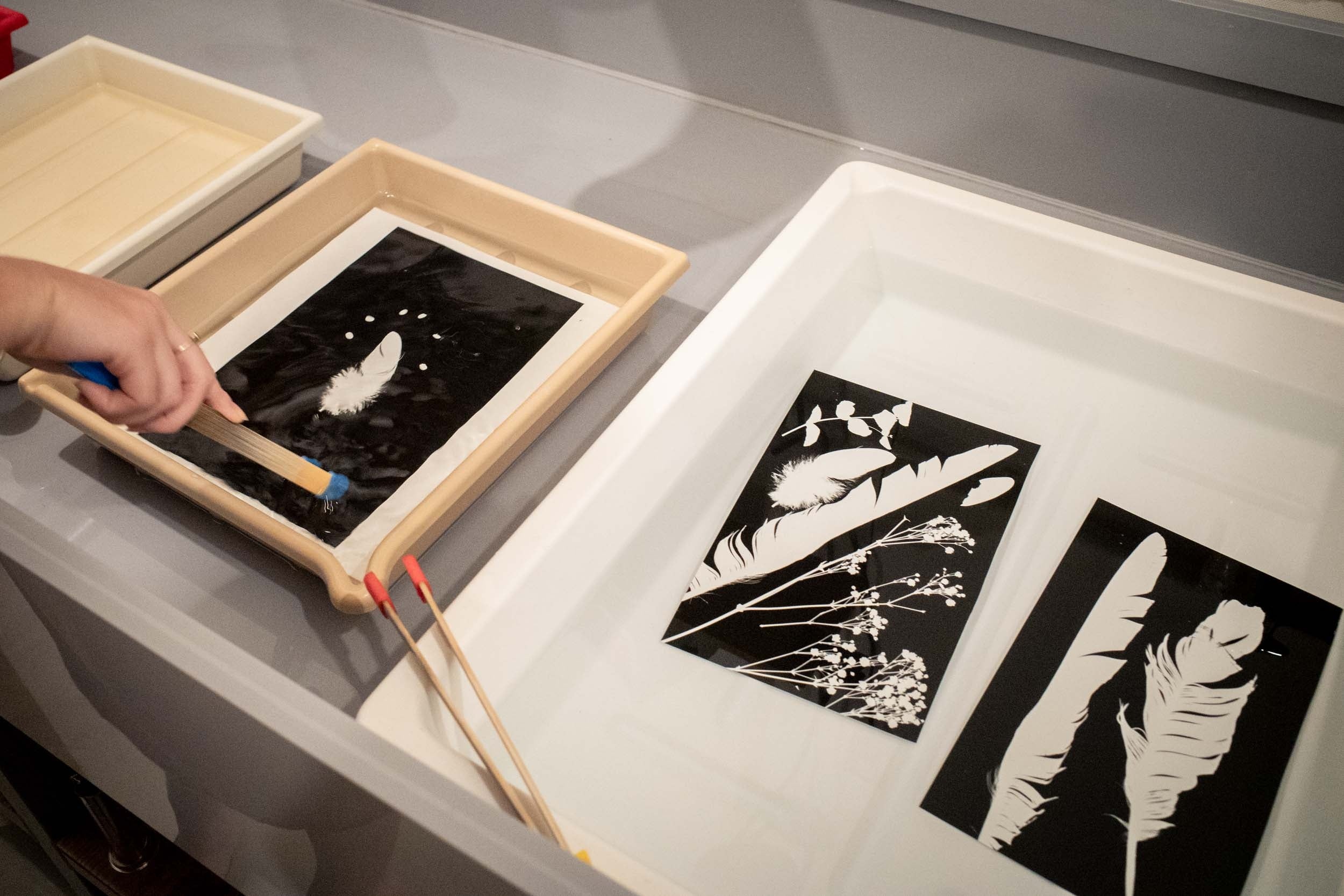 フォトグラム制作風景（モチーフは参考です）