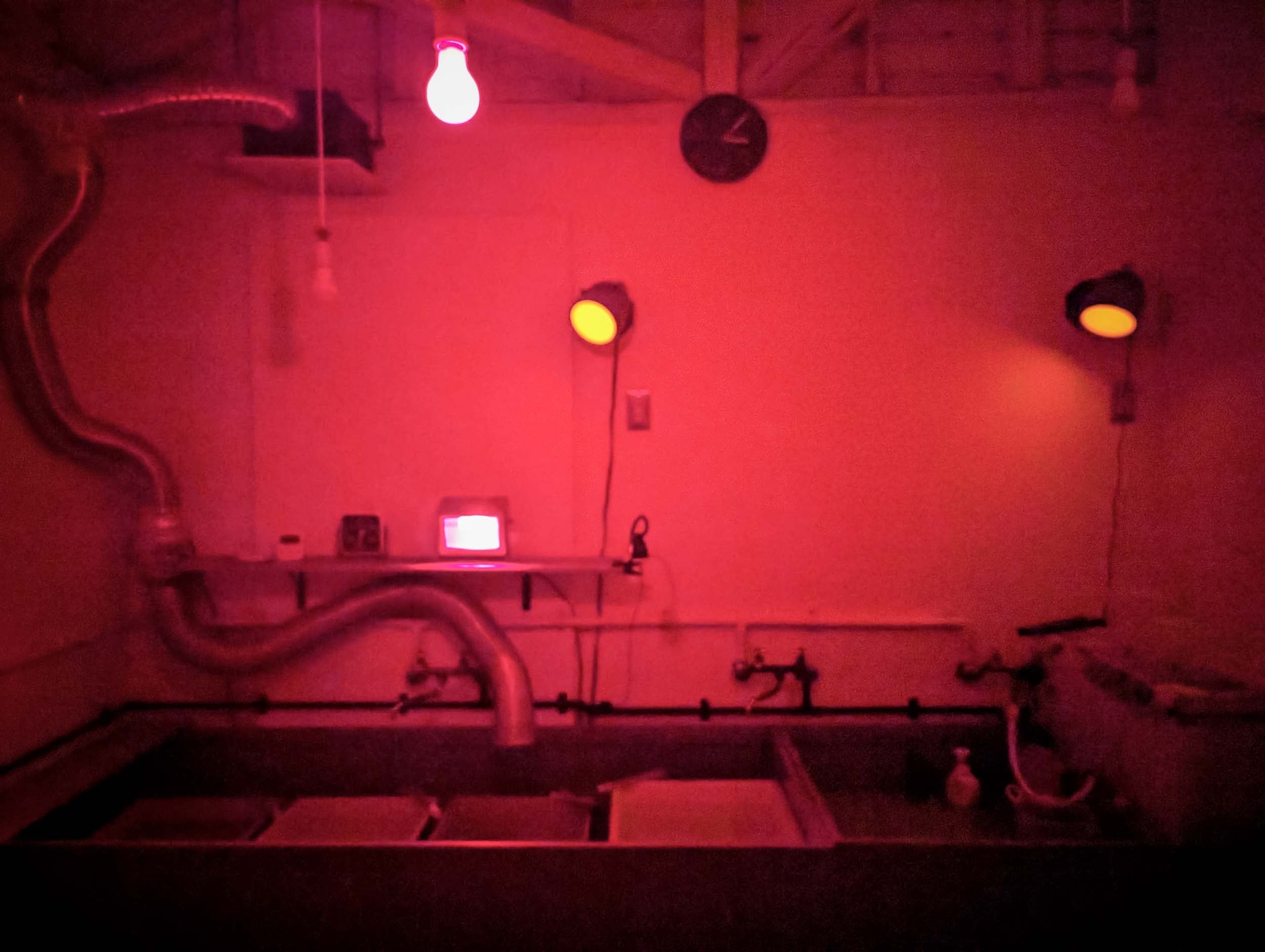 セーフライト（赤い光環境）下でフォトグラム制作を行います