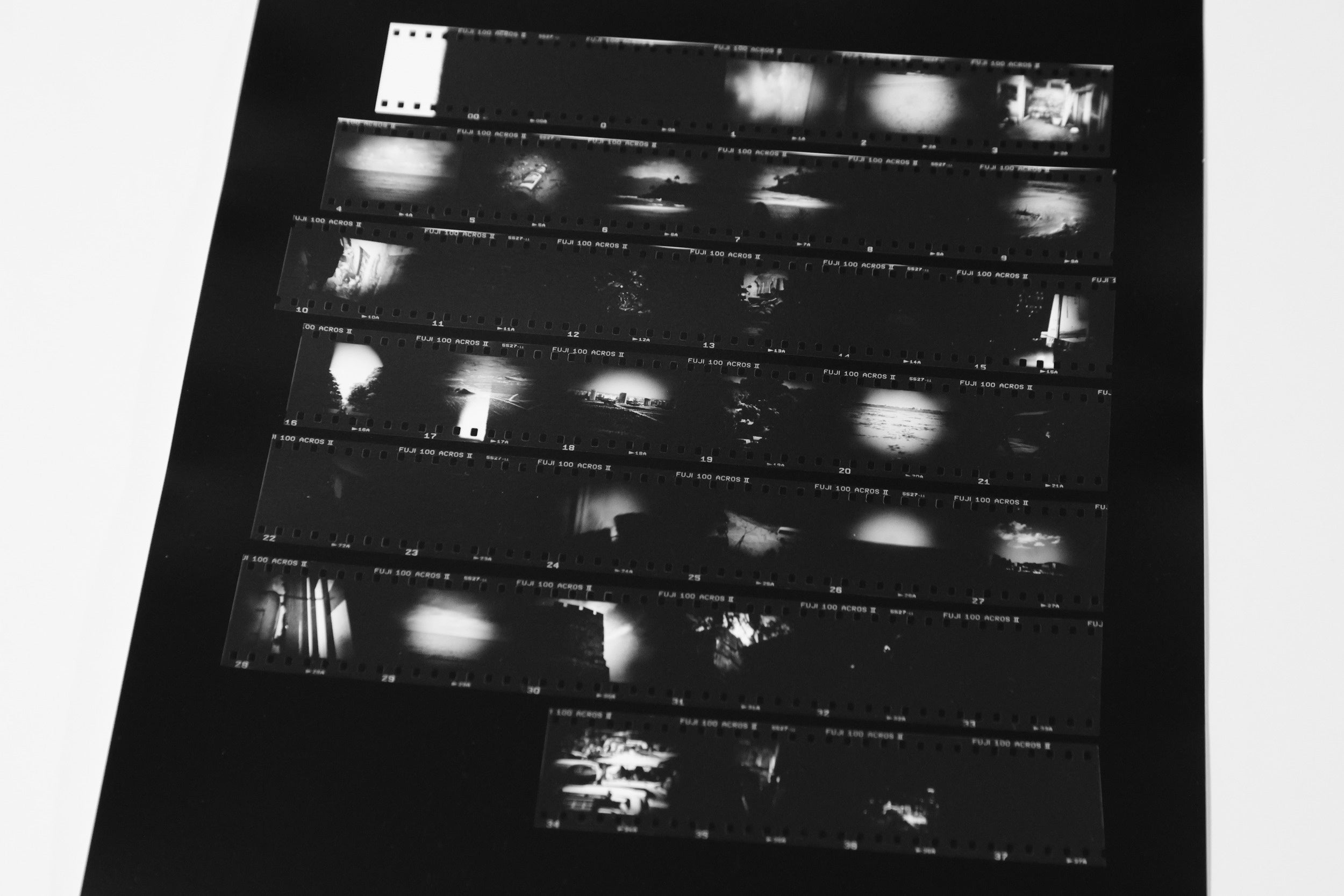 コンタクトプリント