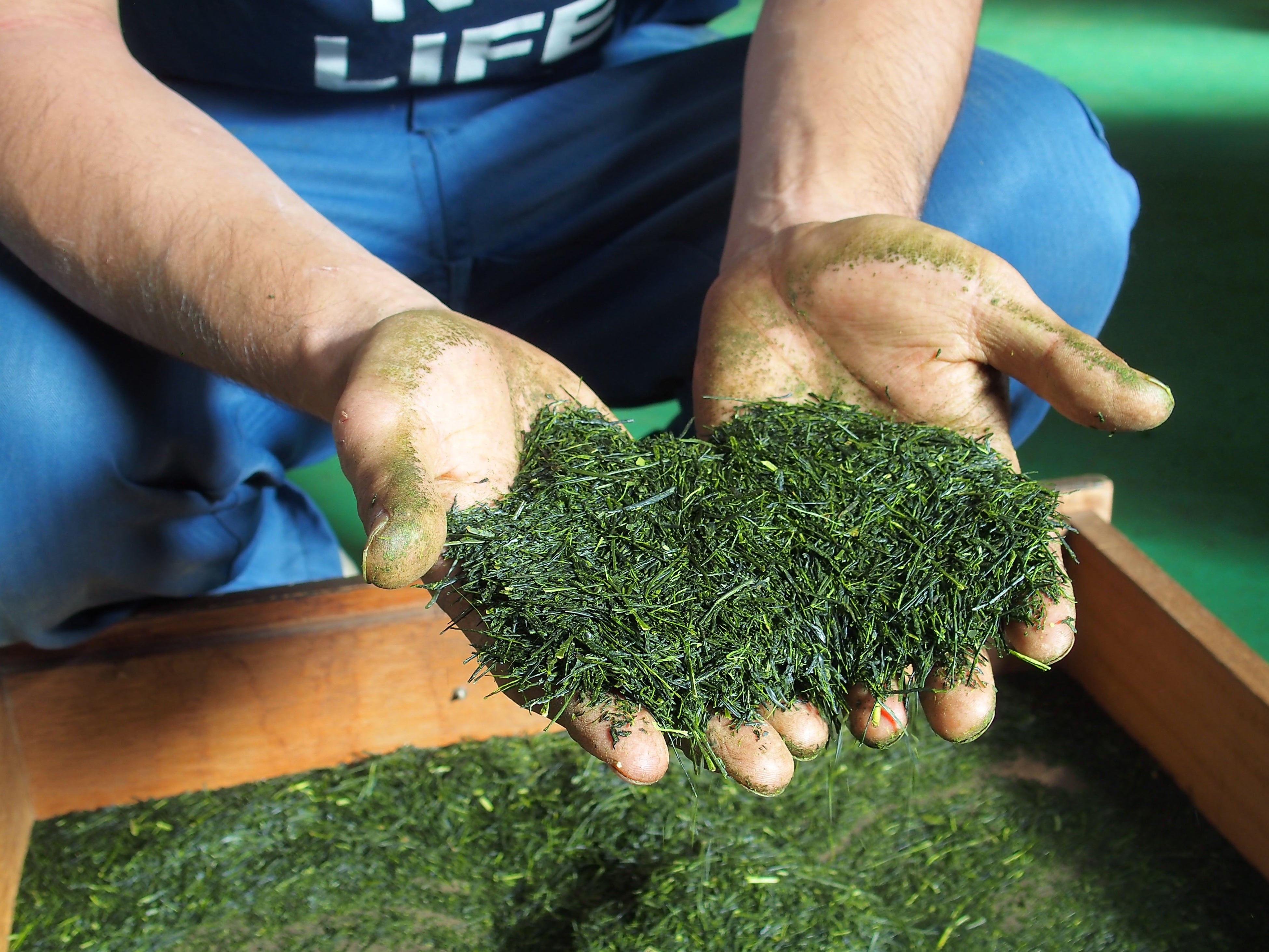 丸甚園製造の狭山茶
