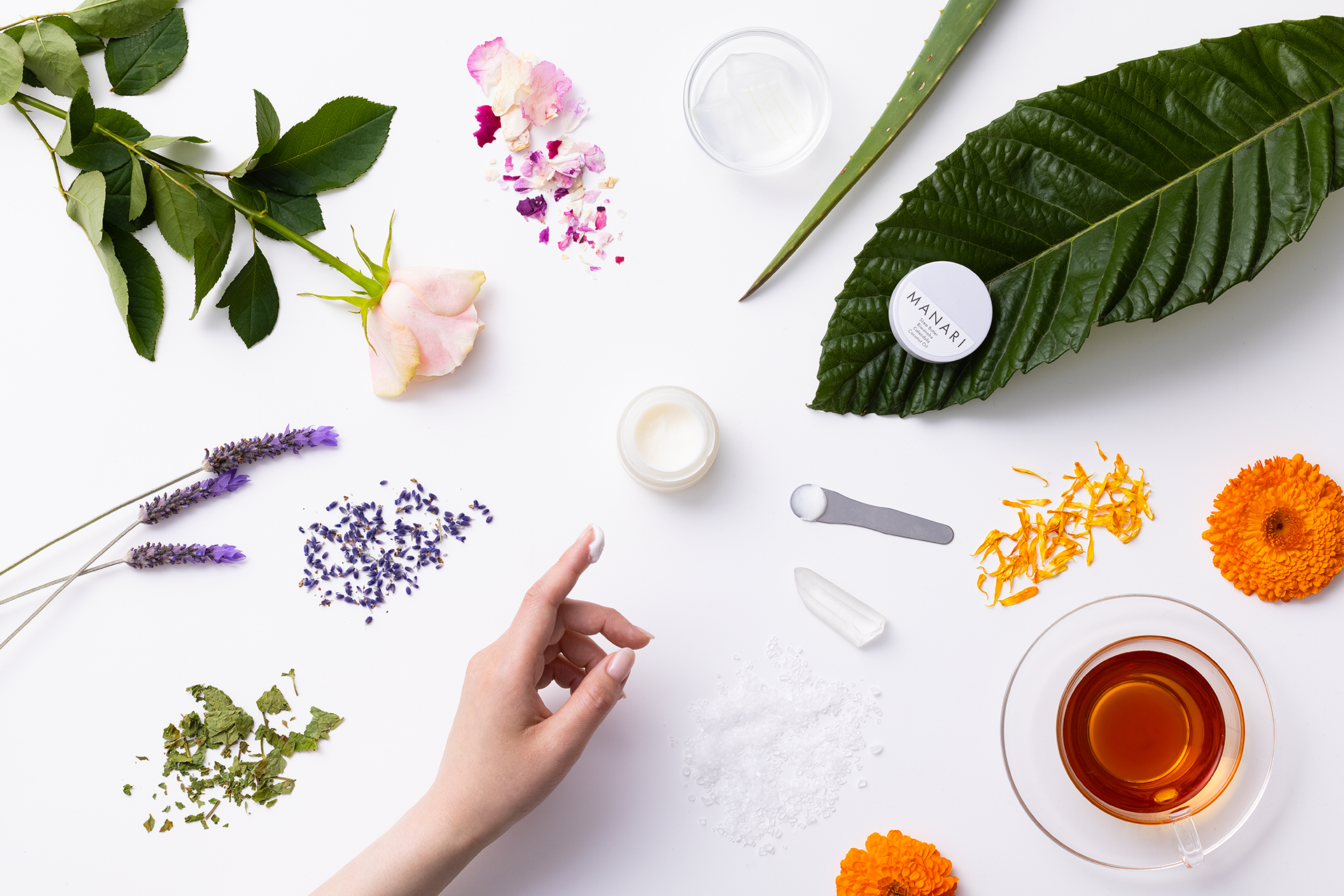 MANERIキービジュアル