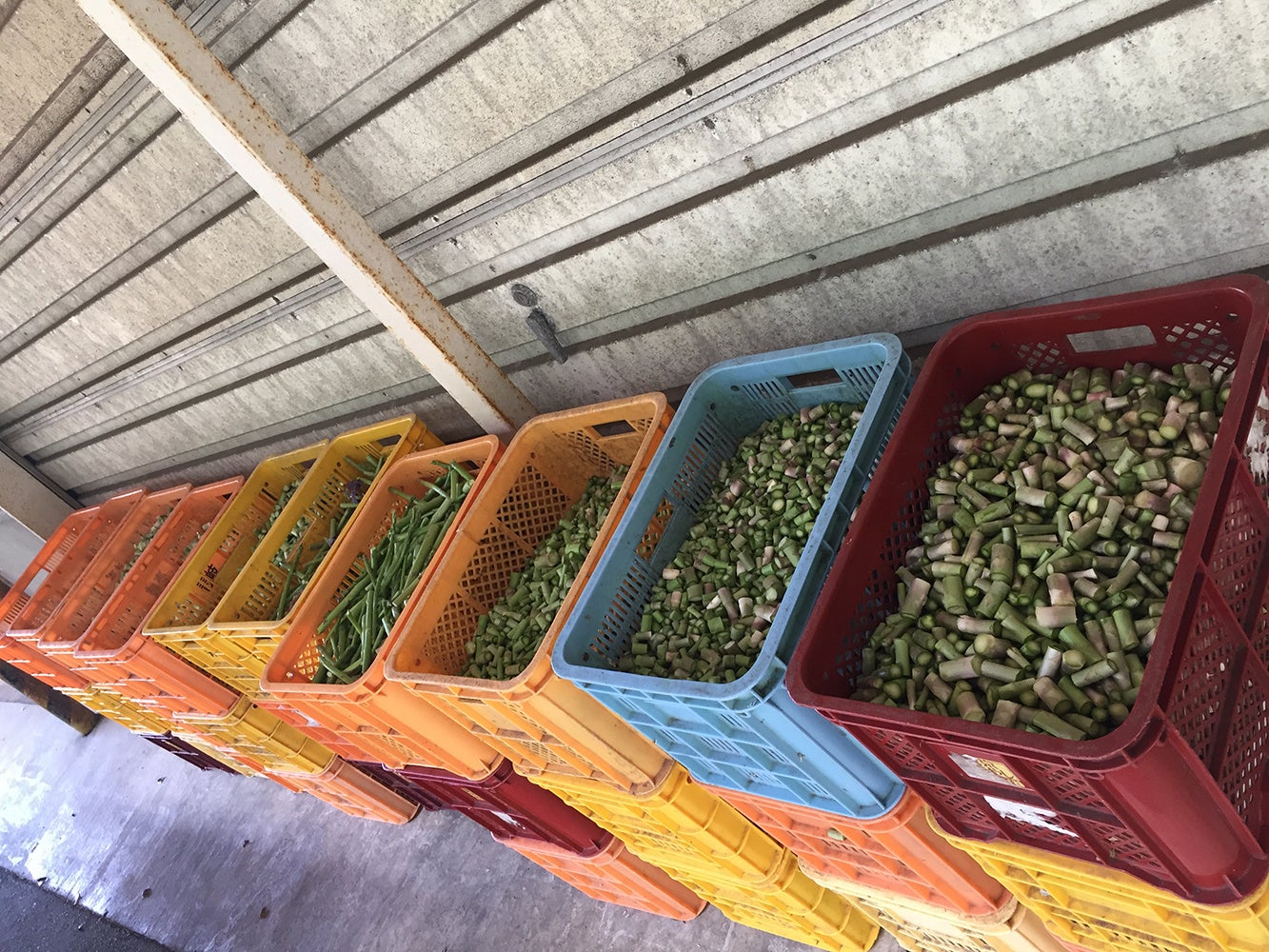 JR西日本】実りの島「イキノエキ」にて幻のクラフトジン「KAGURA」が