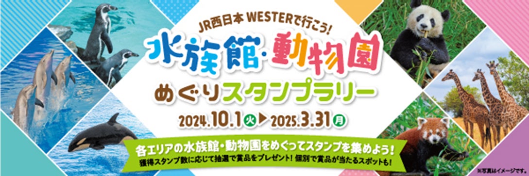 「水族館・動物園めぐりスタンプラリー」を実施します!