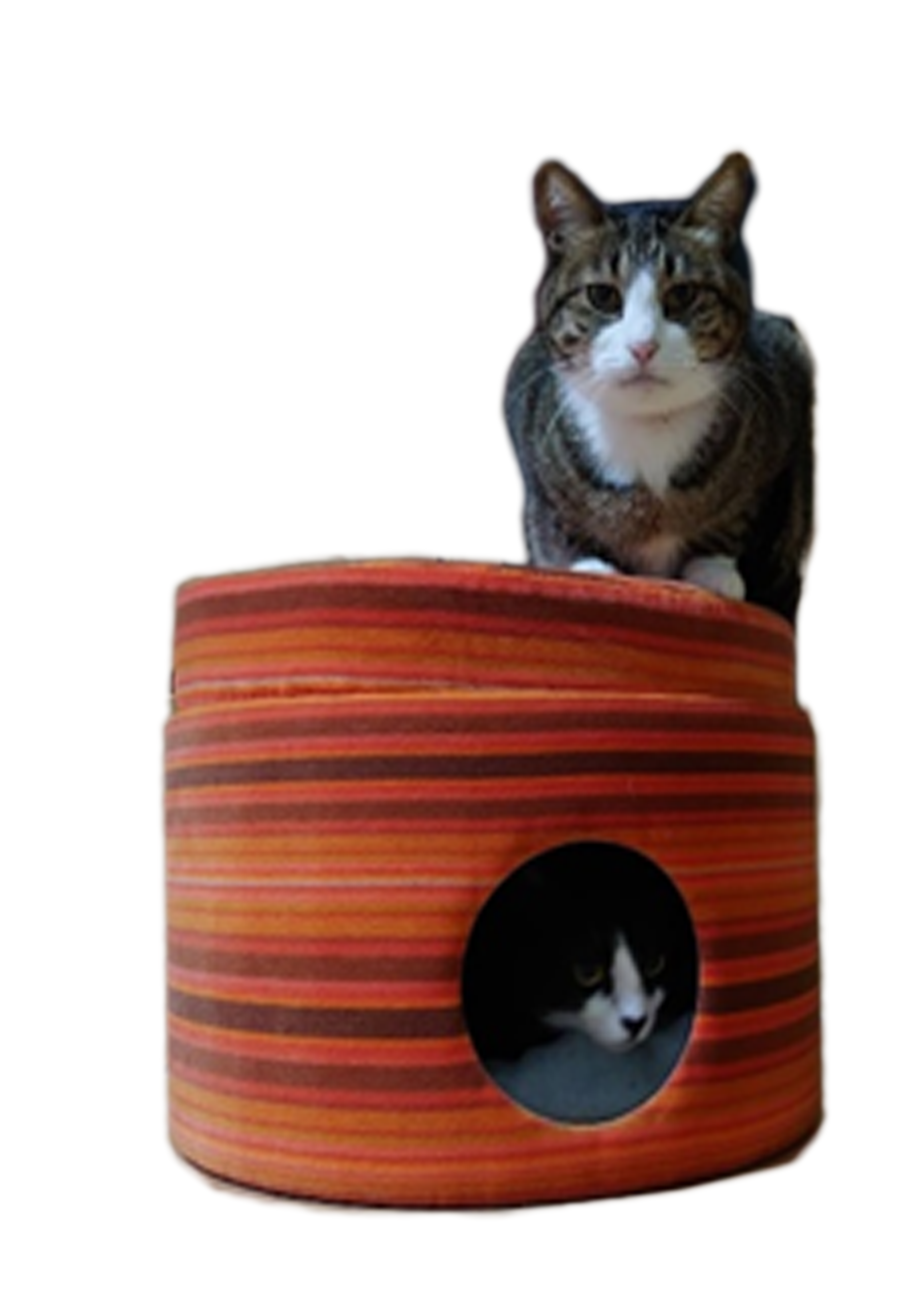 キャットハウス