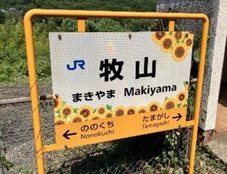 今年も黄色いじゅうたんが畑一面を覆います!牧山駅から徒歩約5分!牟佐大久保ひまわり畑でイベント開催! 今年も黄色いじゅうたんが畑一面を覆います!牧山駅から徒歩約5分!牟佐大久保ひまわり畑でイベント開催!
