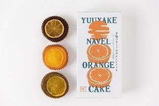 勉強堂 （福山市） 夕焼けネーブルオレンジケーキ