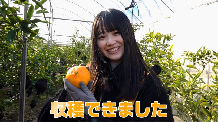 【まじめえひめ公式Xプレゼントキャンペーン】STU48中村舞さんが愛媛の柑橘「せとか」をプレゼント! 【まじめえひめ公式Xプレゼントキャンペーン】STU48中村舞さんが愛媛の柑橘「せとか」をプレゼント!