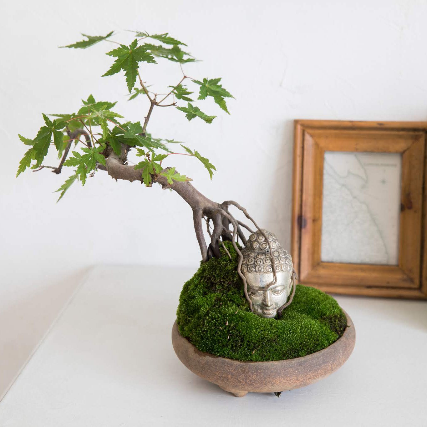 BUDDHA BONSAI（仏像盆栽）