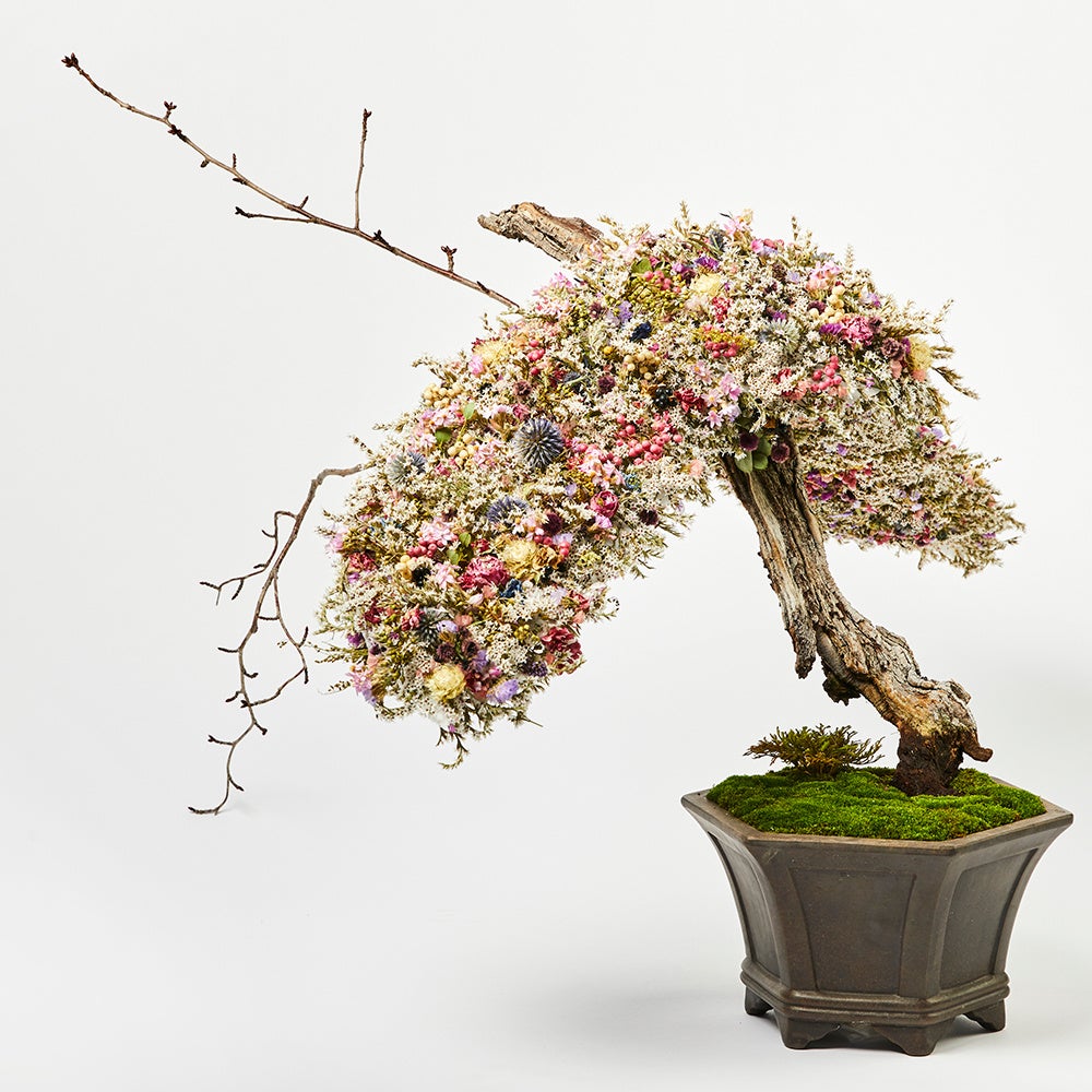 DRY FLOWER BONSAI（花盆栽）