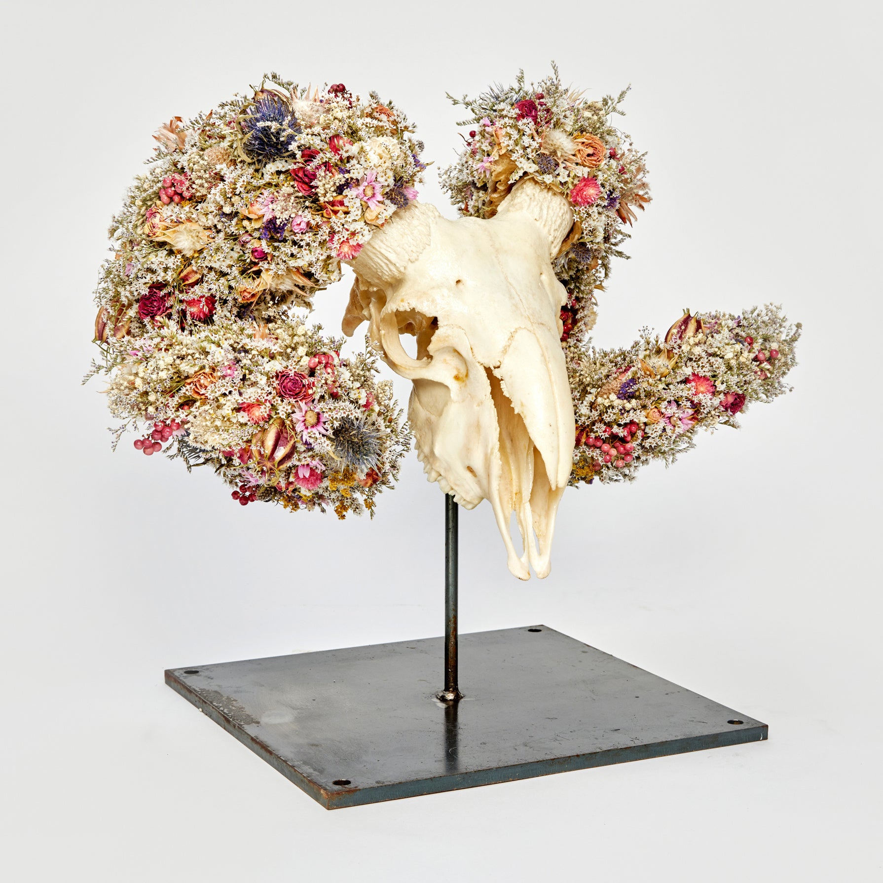 SKULL BONSAI（スカル盆栽）