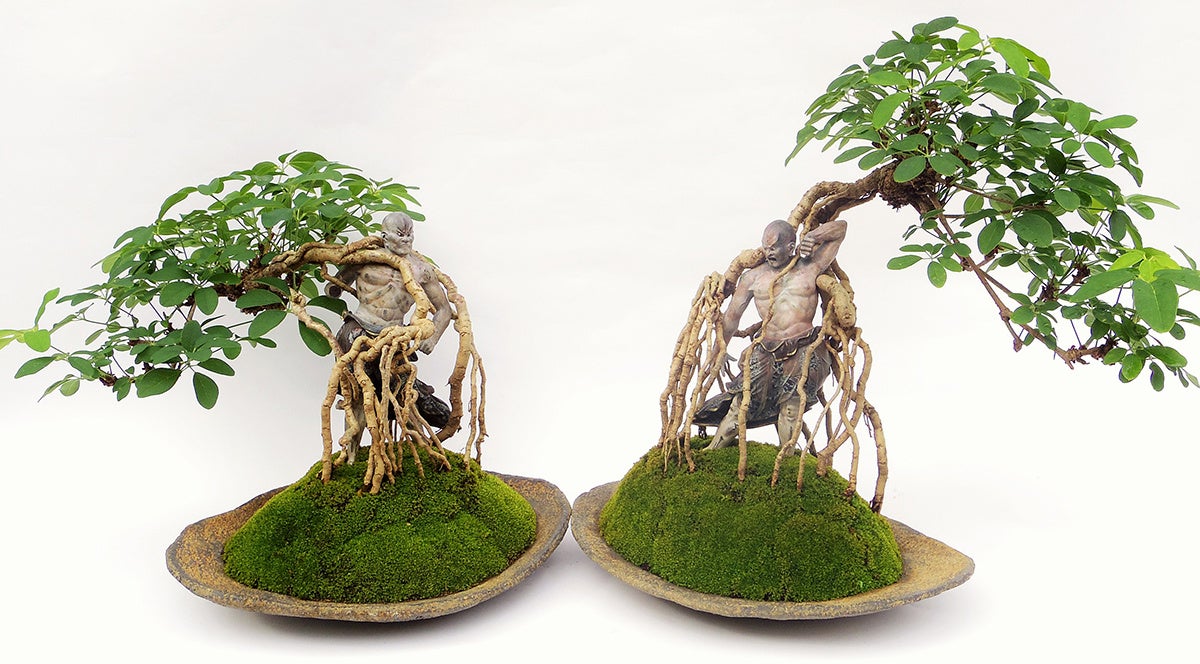 BUDDHA BONSAI（仏像盆栽）