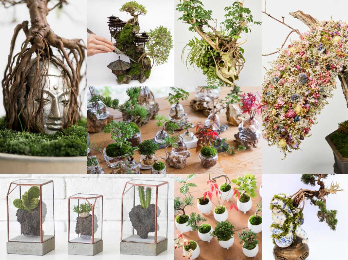 Daisuke Nakajima 公式サイト