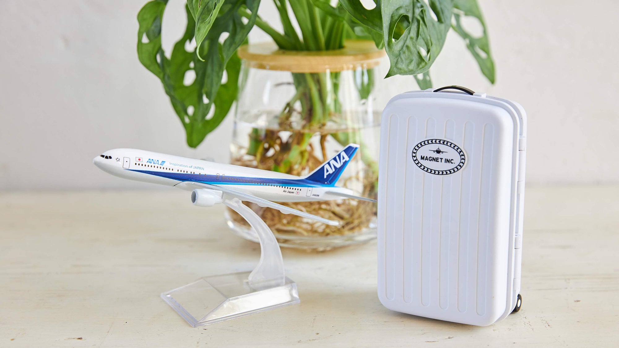 ＜①Easy＞水やりは週に1回、水を足すだけ。 水やりを忘れて枯らす心配はありません。 旅行などで家を留守にしても安心です。