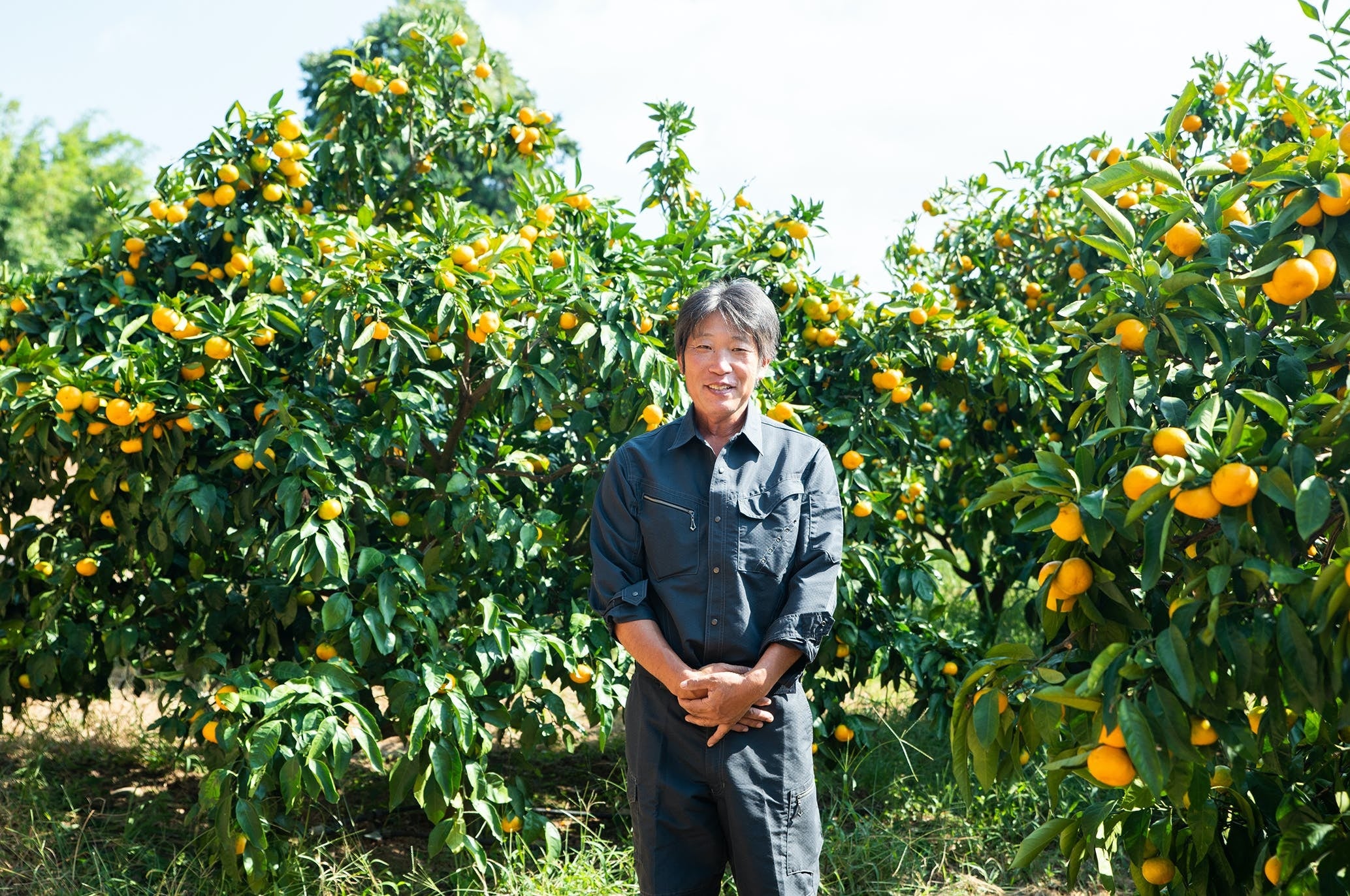 鹿児島県出水市の江﨑果樹園が生産した限定商品をクラウドファン
