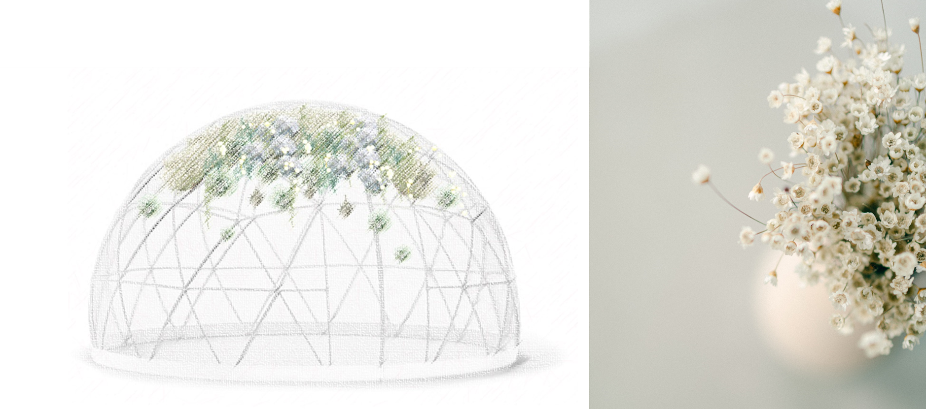 クリアドーム内装イメージ