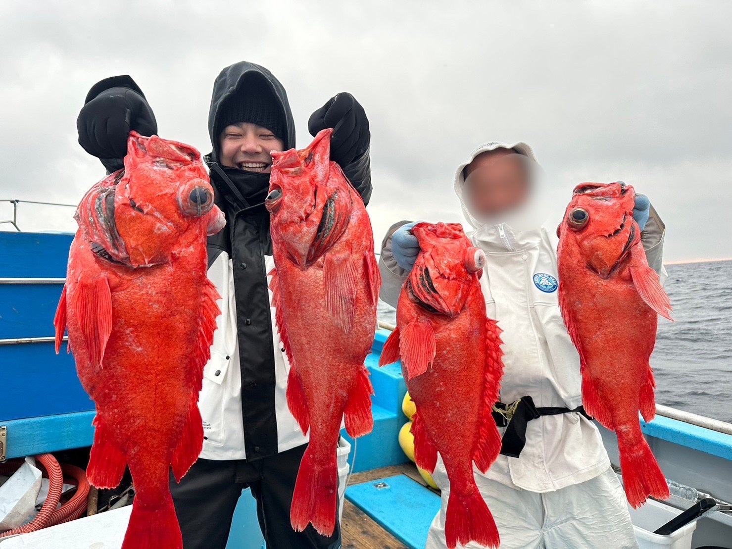 先日、釣り仲間と釣りあげた幻の超高級魚ベニアコウ