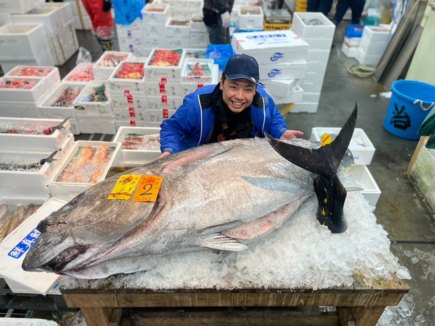 今回競り落としたマグロ