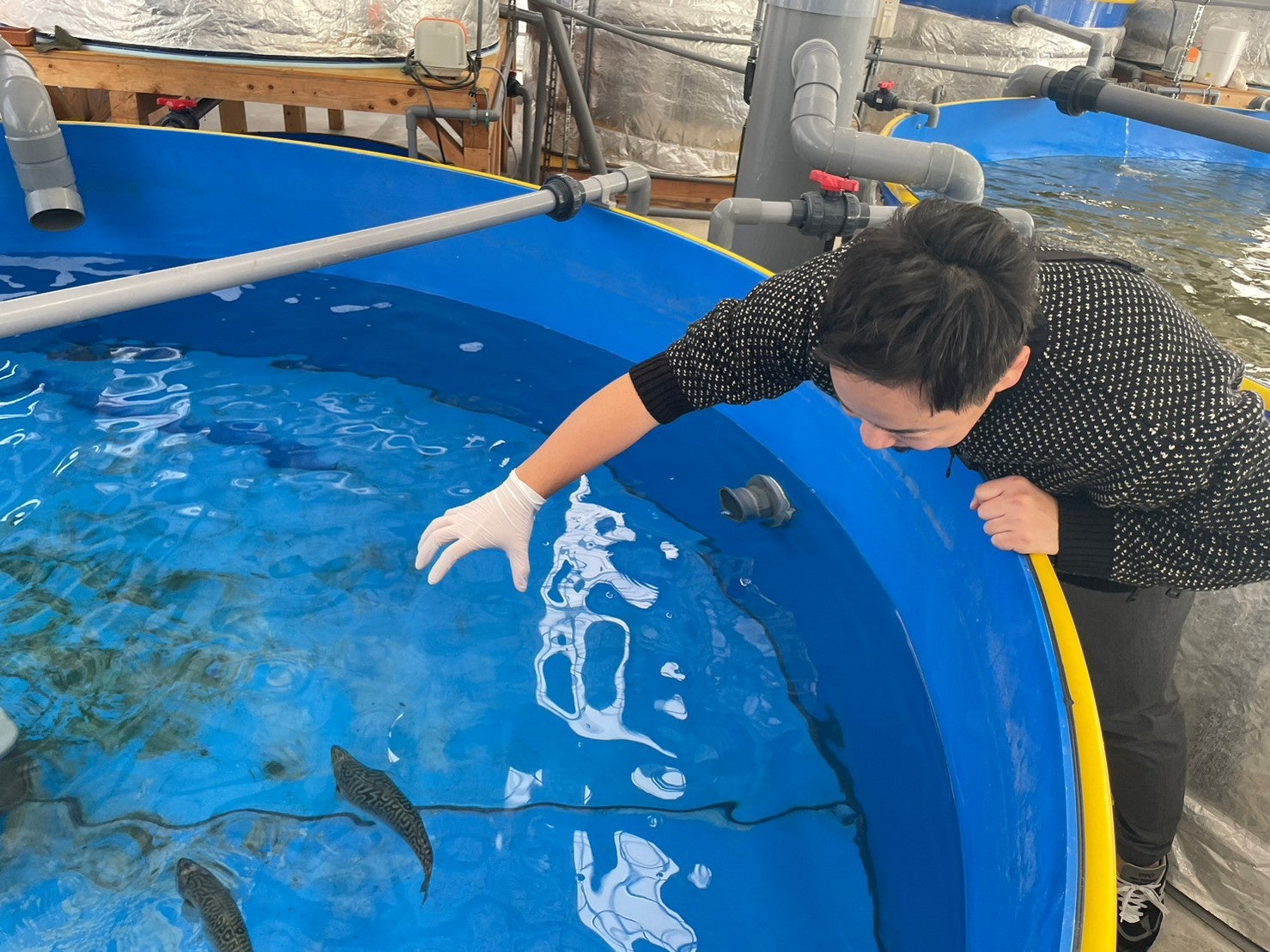 素手で獲ろうとする、という小ボケもしっかり入れていく